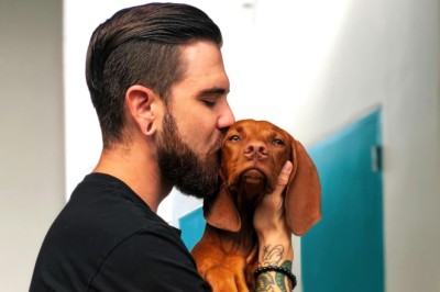 Humans vs. dogs: How are their facial expressions processed? Study reveals