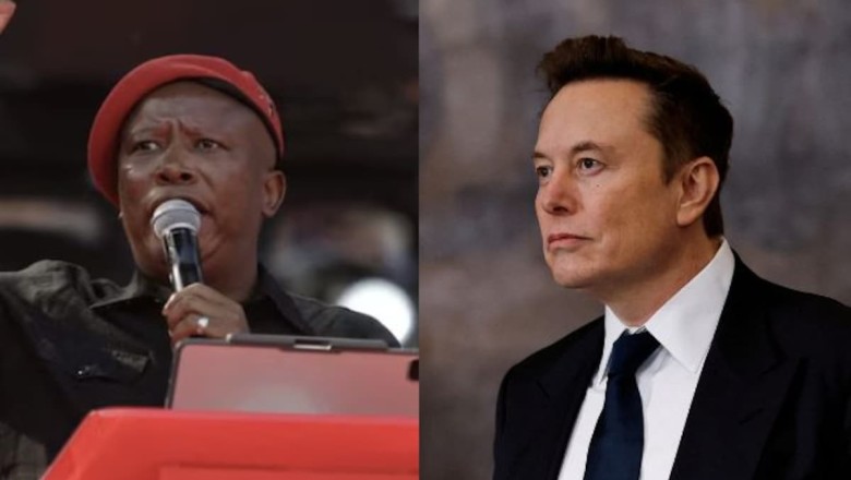 Old Video Of African Leader Chanting 'Kill White Farmers' Viral, Musk Reacts