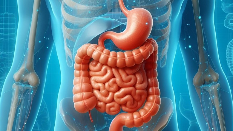 Digestion troubles in summer? Causes and tips to keep your stomach happy